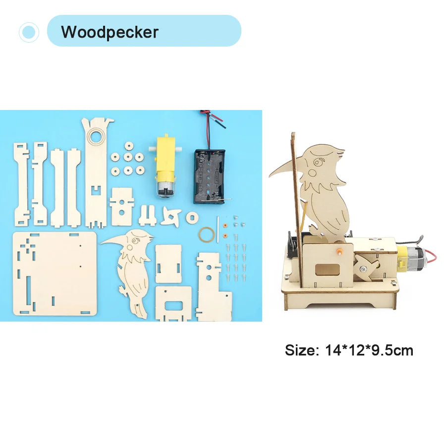 DIY Science Toys Children Educational STEM Kits Car Dinosaur Model Technologia Experimental Tool Wood Puzzle Games School Supply